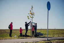 Veselí nad Moravou vysadí více než 7 tisíc nových dřevin. Mají zadržet vodu v krajině