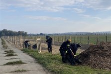 Na Veselsku začala výsadba nových biokoridorů Na Veselsku začala výsadba nových biokoridorů